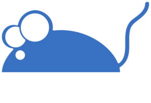tech101.xyz